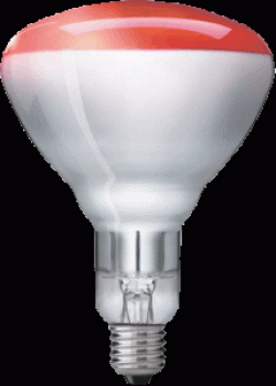 PHILIPS Infrared Infrarotlampe BR125, 230-250V/150W, E27